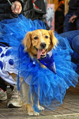 Carnevale gente103