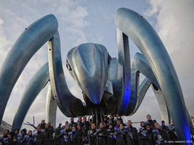 Viareggio carnevale1090