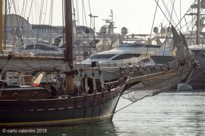 Viareggio vele storiche011