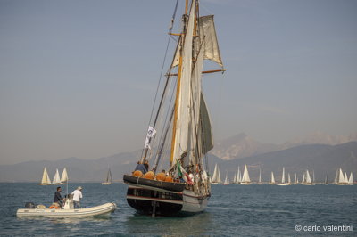 Viareggio vele storiche145