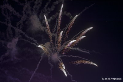 Viareggio carnevale2008