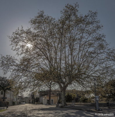 Torre del lago569dec