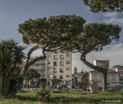 Viareggio10014dec