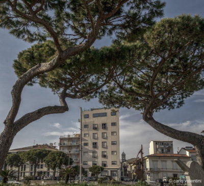 Viareggio10015dec