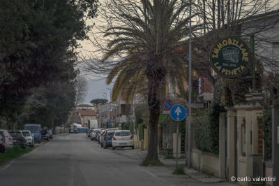 Viareggio9353