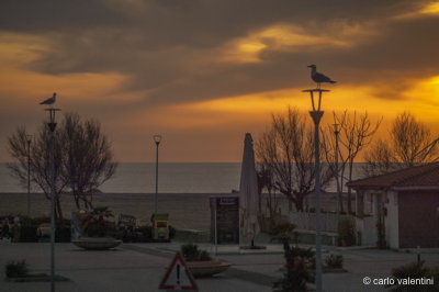 Viareggio9365