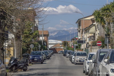 Viareggio9515