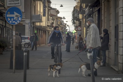 Viareggio9694