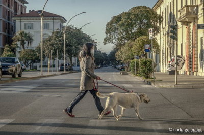 Viareggio9786dec