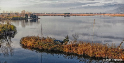 Torre del lago095