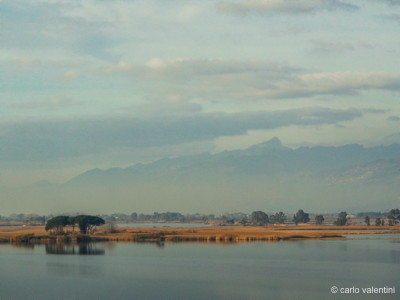 Torre del lago101b