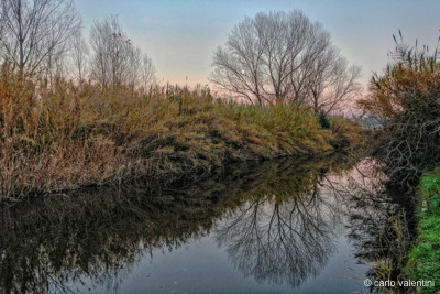 Torre del lago151