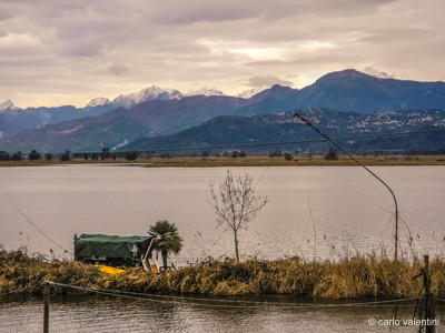 Torre del lago295