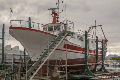 Viareggio vele storiche170