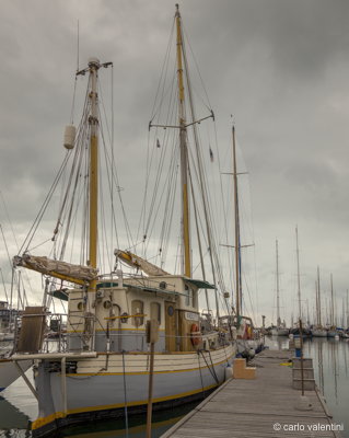 Viareggio vele storiche188