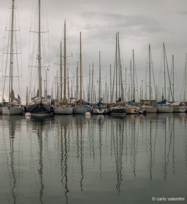 Viareggio vele storiche190