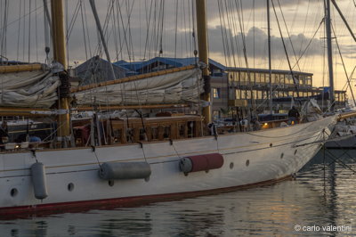 Viareggio vele storiche202