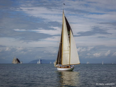 Viareggio vele storiche203