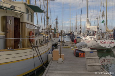 Viareggio vele storiche215