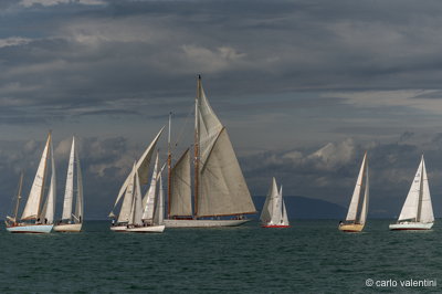 Viareggio vele storiche220