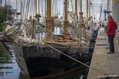 Viareggio vele storiche240