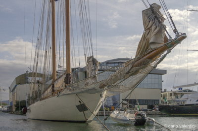 Viareggio vele storiche269