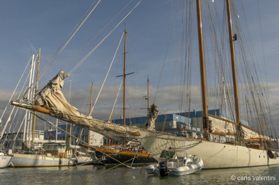 Viareggio vele storiche271