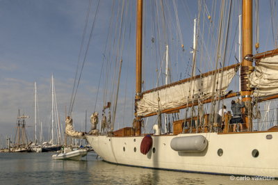 Viareggio vele storiche282