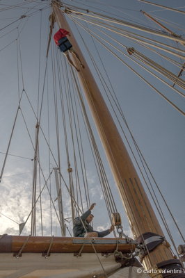 Viareggio vele storiche295