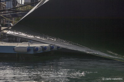 Viareggio vele storiche345