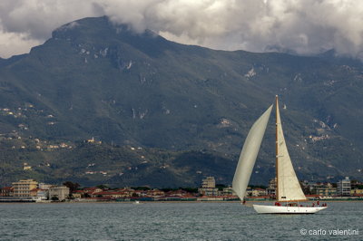 Viareggio vele storiche372