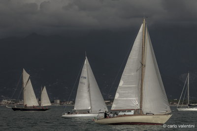 Viareggio vele storiche374dec