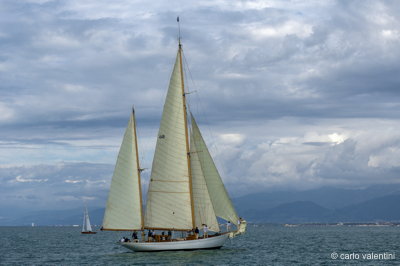 Viareggio vele storiche385