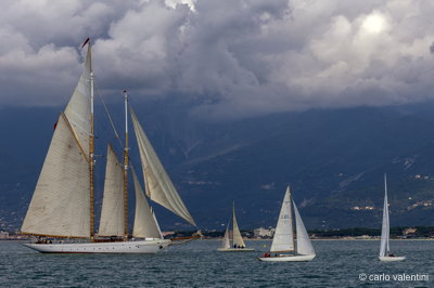 Viareggio vele storiche391