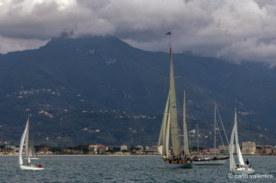 Viareggio vele storiche396