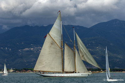 Viareggio vele storiche397