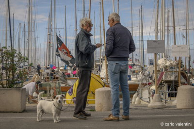 Viareggio vele storiche403