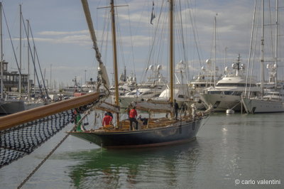 Viareggio vele storiche407