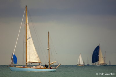 Viareggio vele storiche418