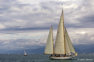 Viareggio vele storiche439