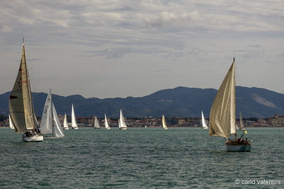 Viareggio vele storiche444