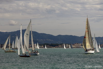 Viareggio vele storiche445