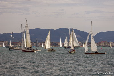 Viareggio vele storiche452