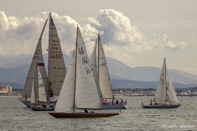 Viareggio vele storiche455