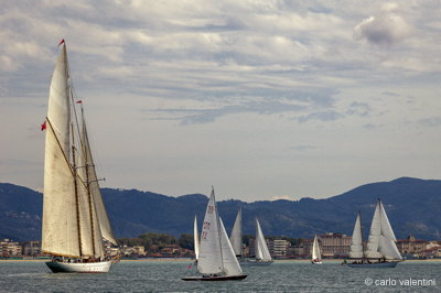 Viareggio vele storiche458