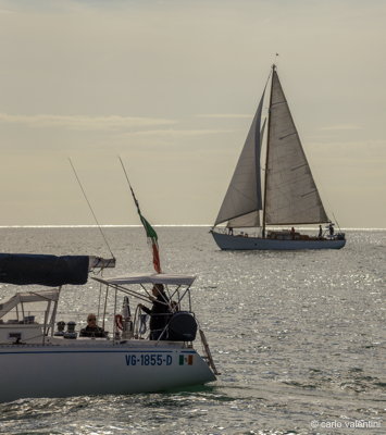 Viareggio vele storiche460