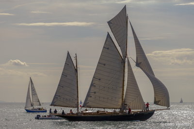 Viareggio vele storiche467