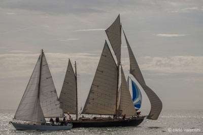 Viareggio vele storiche483