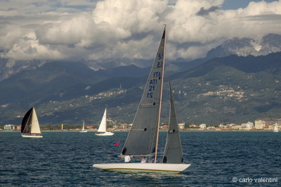 Viareggio vele storiche519