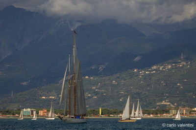 Viareggio vele storiche526